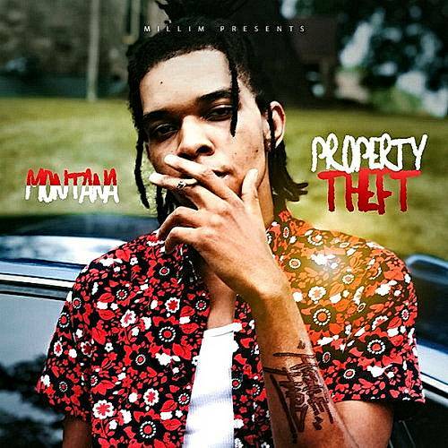Montana - Property Theft cover