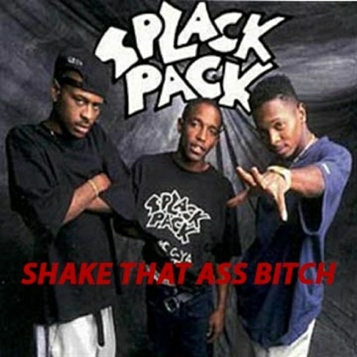 Splack Pack - Shake It Baby (CD Single, Promo) cover
