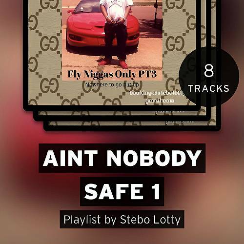 Stebolotty - Aint Nobody Safe 1 cover