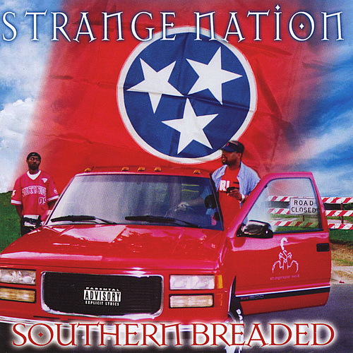 Strange Nation - Southern Breaded cover
