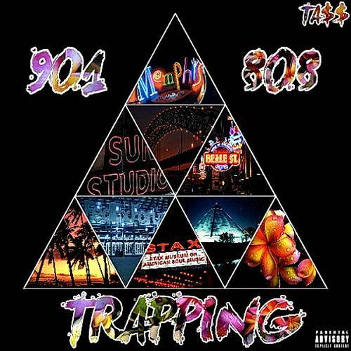 TA$$ - 901/808 Trapping cover