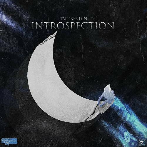 Tai Trendin - Introspection cover