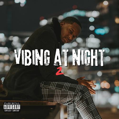 Tee Walls - Vibing At Night 2 cover