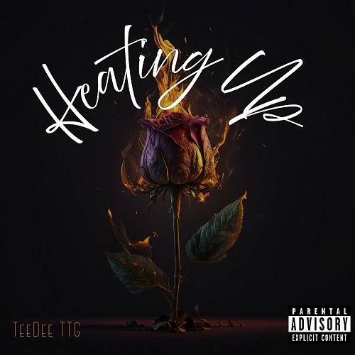 TeeDee TTG - Heating Up cover
