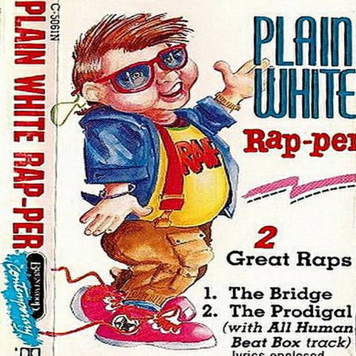 Terry Lee Price - Plain White Rap-per cover