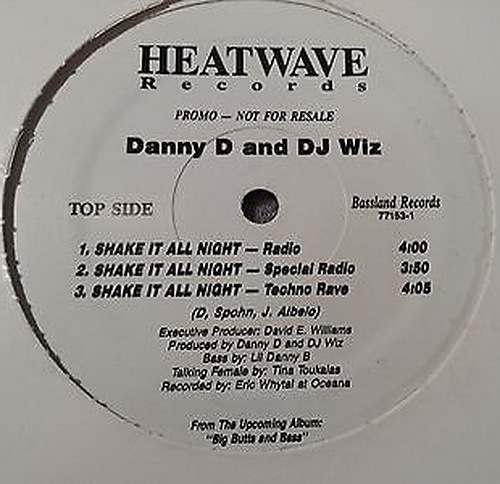 Danny D & DJ Wiz - Shake It All Night (12'' Vinyl, Promo) cover