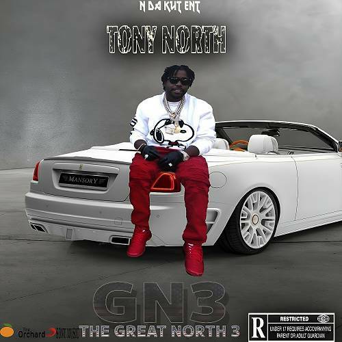 Tony North - The Great North 3 cover