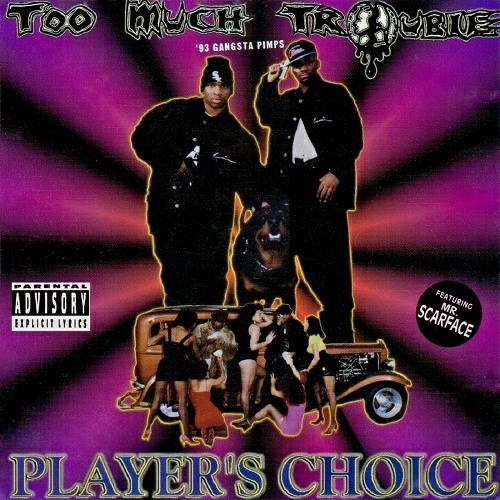 Too Much Trouble - Player`s Choice cover