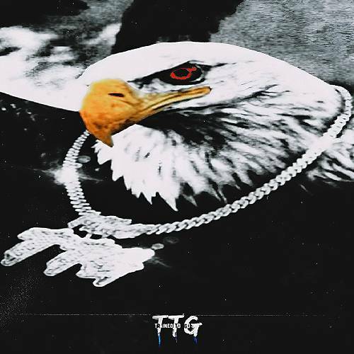 TrainToGo - The Real TTG cover