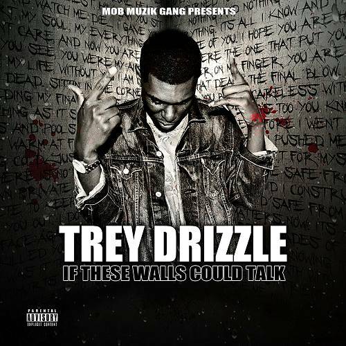 Trey Drizzle - If These Walls Could Talk cover