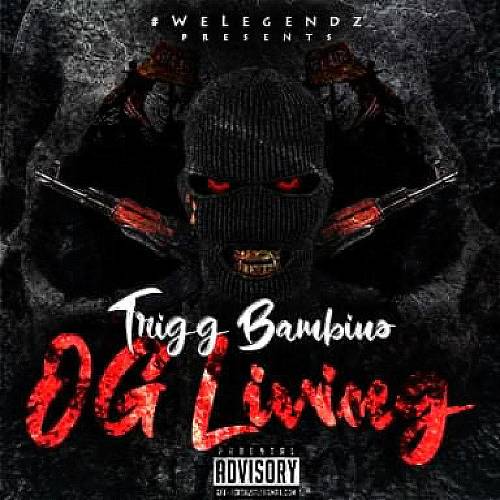Trigg Bambino - OG Living cover