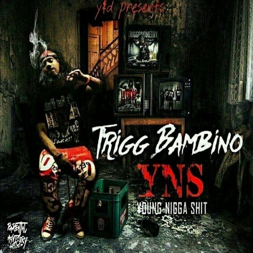Trigg Bambino - YNS. Young Nigga Shit cover