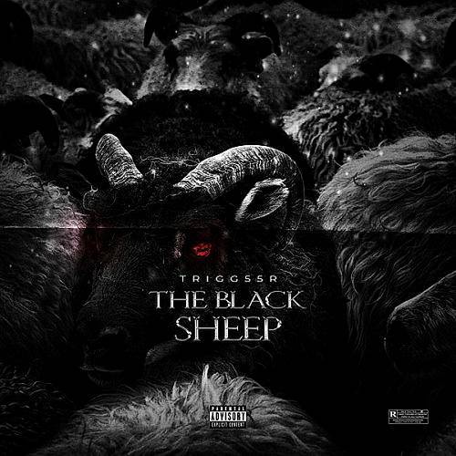Trigg55r - The Black Sheep cover