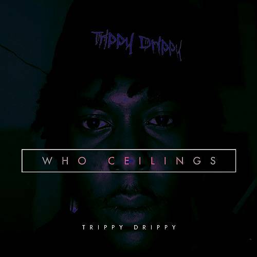 Trippy Drippy - Who Ceilings cover