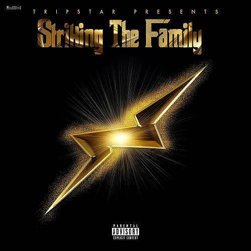 TripStar - Striking The Family cover