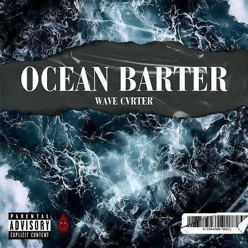 Wave Cvrter - Ocean Barter cover