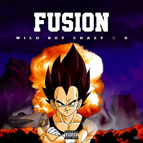 Wild Boy Crazy & Q - Fusion cover