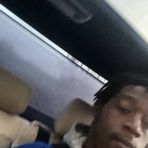 Wildlife Dee - Lifestyle cover