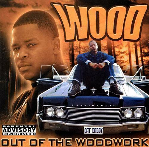 Wood - Out Of The Woodwork cover