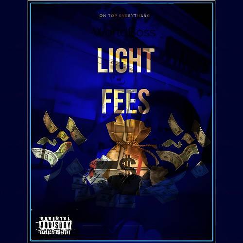 WorldBoss - Light Fees cover