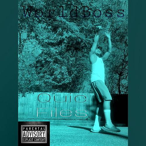 WorldBoss - Quic Files cover