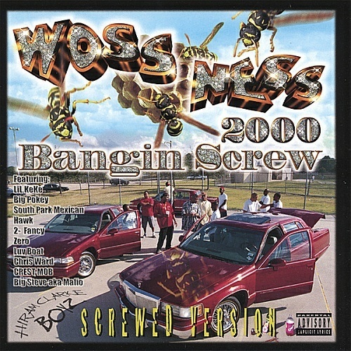 Woss Ness - Bangin Screw (screwed version) cover