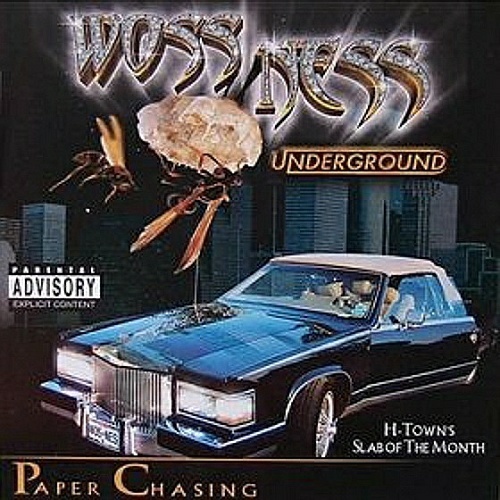 Woss Ness - Paper Chasing cover