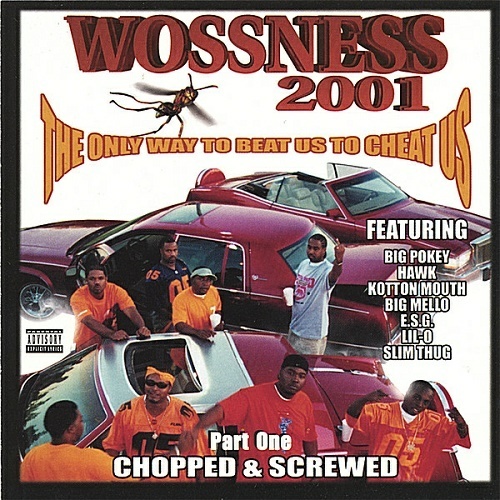 Woss Ness - The Only Way To Beat Us To Cheat Us (chopped & screwed) cover
