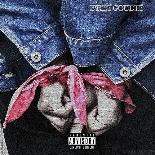 Young Goudie - Free Goudie cover