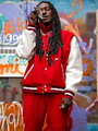 YTN Bob photo