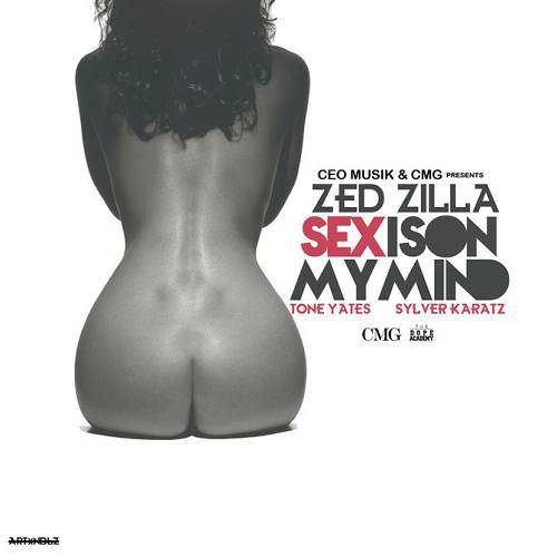 Zed Zilla - Sex Is On My Mind cover