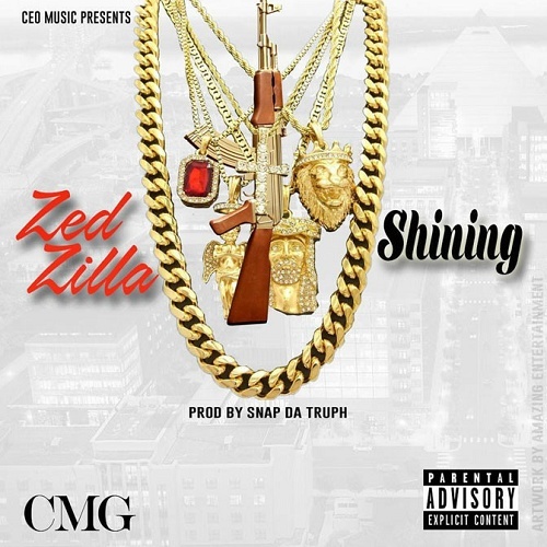 Zed Zilla - Shining cover
