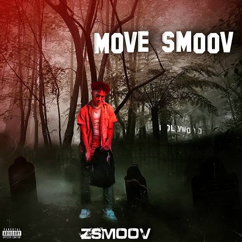 zsmoov - Move Smoov cover